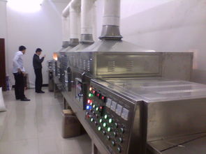 食品添加劑干燥設備全解析 微波與箱式干燥技術應用及選擇指南